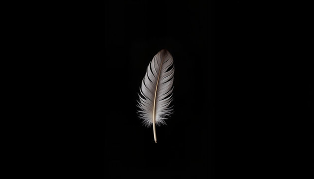 Elegant white feather on a dark background for artistic projects, design, and blogs