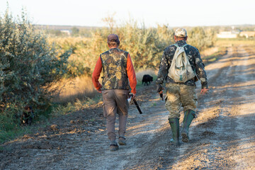 Mature hunter man holding a shotgun and walking through a field