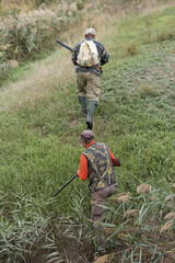 Mature hunter man holding a shotgun and walking through a field