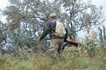 Mature hunter man holding a shotgun and walking through a field