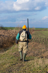 Mature hunter man holding a shotgun and walking through a field
