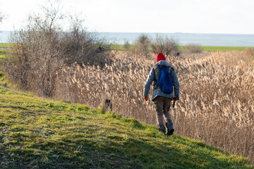Mature hunter man holding a shotgun and walking through a field