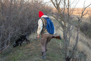 Mature hunter man holding a shotgun and walking through a field