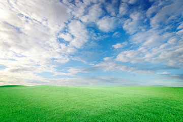 Obraz premium Landscape Sky and Field Board Background