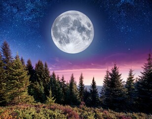 full moon with stars at colorful night sky and fir trees