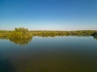 Aerial view with a delta, an ecosystem full of lakes and green willows. Amazing wild landscape seen from drone in the summer on a sunny day 