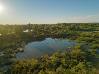 Obraz premium Aerial view with a delta, an ecosystem full of lakes and green willows. Amazing wild landscape seen from drone in the summer on a sunny day 