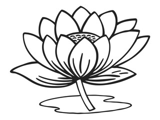 simple lotus flower line drawing outline, Vector icon, Line art Vector, Doodle Icon