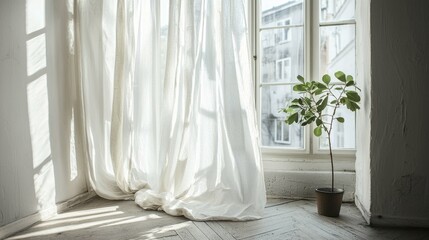 Bright Indoor Scene with a Potted Plant and Sheer Curtains