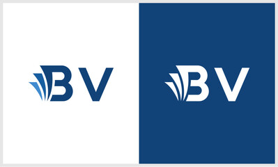 initials letter B acounting21...