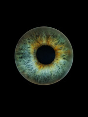 A macro photograph of the iris with fine details and rich shades of blue, cyan, and green. The deep contrast with the black background enhances the texture and intricate pattern of the pupil. image