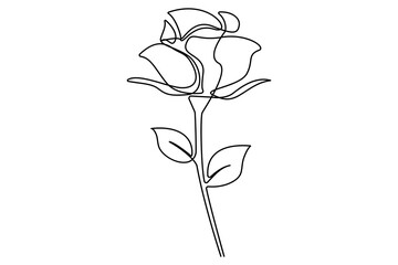 Rose flower continuous one line drawing of rose flower isolated outline vector illustration minimalist design