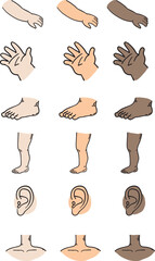Human Body Parts Diversity Activity - Learning About Different Skin Tones and Anatomy