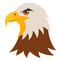 Obraz premium eagle head