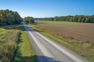 An aerial view captures the serene beauty of a gravel road stretching through fields and forests under a clear, bright blue summer sky at daytime.