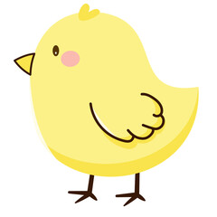 병아리4