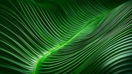 Lush Green Leaf Texture Creating Waves of Nature's Beauty