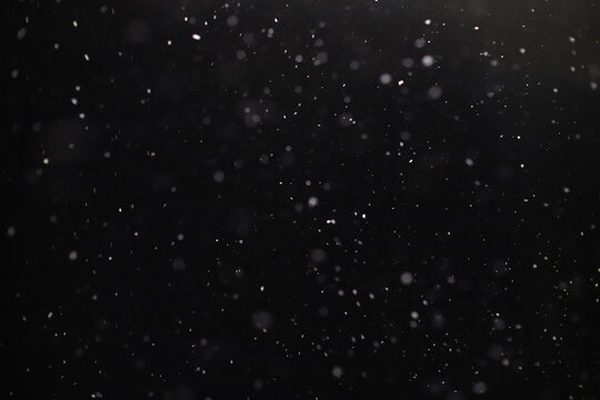 Abstract texture. Falling snow isolated on black background. Layer to overlay and blend snowfall into your photo project.	
