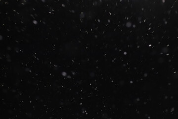 Abstract texture. Falling snow isolated on black background. Layer to overlay and blend snowfall into your photo project.