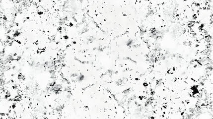 Obraz premium Abstract monochrome background with random black speckles and patterns for artistic use