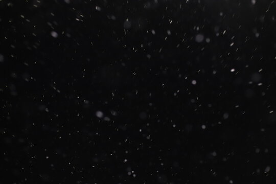 Abstract texture. Falling snow isolated on black background. Layer to overlay and blend snowfall into your photo project.