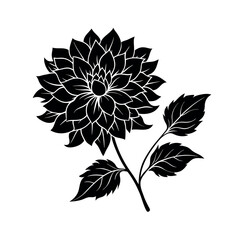  Elegant Dahlia Blooms on Branches – Black and White Aesthetic.