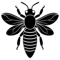 black and white bee on a white background