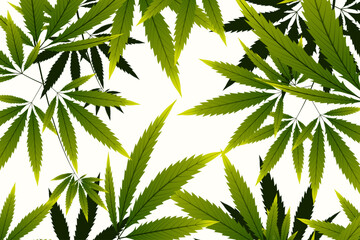 copy-space-botanical-cannabis-background8