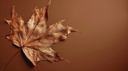 Women's Day: In the Poetic Warm Rhyme of the Autumn-leaf Brown Background, Unleashing the Intellectuality and Composure Beauty of Women