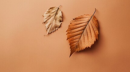 Women's Day: In the Poetic Warm Rhyme of the Autumn-leaf Brown Background, Unleashing the Intellectuality and Composure Beauty of Women