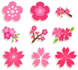 decorative-pack-variety-cherry-blossoms