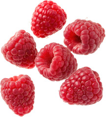 Vibrant Berry Delight