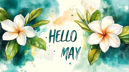 Hello May.