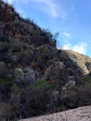 Naturalea en las montañas