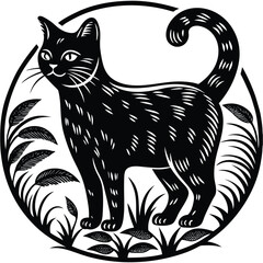 black cat on white background