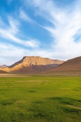 A large mountain range is visible in the distance, with a clear blue sky above. The scene is peaceful and serene, with the vast open field and the mountains creating a sense of tranquility