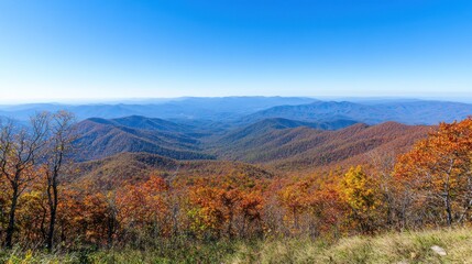 Autumnal Panorama: Breathtaking View of the Blue Ridge Mountains in Fall