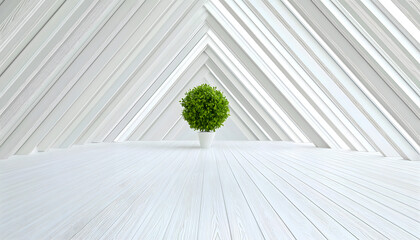 Fototapeta premium Minimalist indoor plant display modern room interior photography bright space aesthetic view decor concept