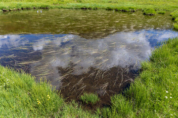 pozza d'acqua presso il lago Verney, Valle D'Aosta