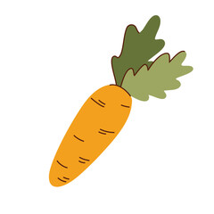 Carrot cartoon vector illustration. fresh orange carrot with green leafs.