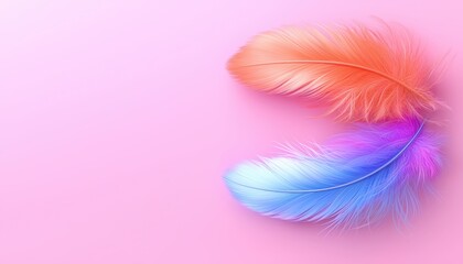 Fototapeta premium Colorful feathers on a pink background, adding a playful touch to creative designs.