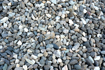 Varied pebbles create a natural mosaic in a tranquil setting