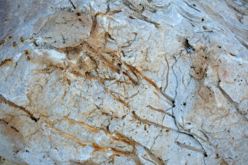 Textured natural rock surface showcasing earthy colors and patterns