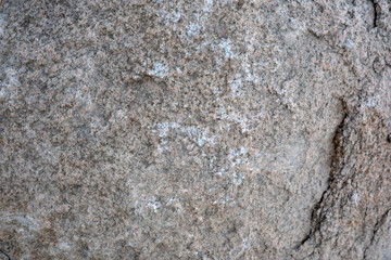 Rock surface with intricate textures showcasing nature's artistry