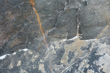Unique patterns reveal nature's artistry on weathered stone