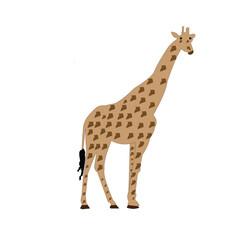 Fototapeta premium giraffe vector illustration