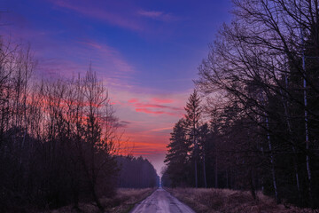 Prosta leśna droga w bezśnieżną zimę. Jest wieczór, bezchmurne niebo zabarwiło się na czerwono. © boguslavus