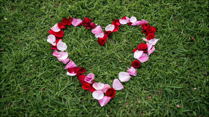 Heart Shape Made of Rose Petals on Green Grass