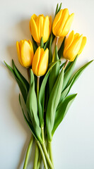 Obraz premium five yellow tulips in a vibrant spring bouquet