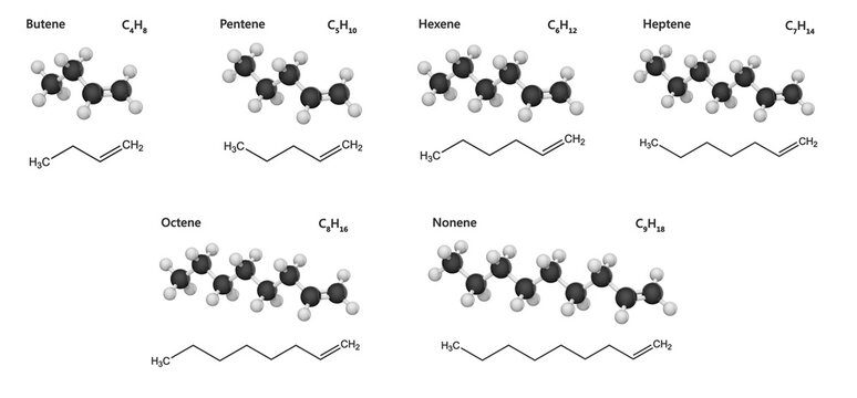 Alkene Series: From Butene (C4H8) to Nonene (C9H18). Class of hydrocarbons characterized by the presence of at least one carbon-carbon double bond. Isolated on white background. 3D illustration.